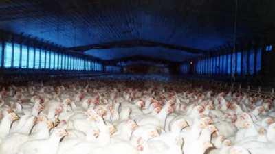 The COVID-19 Pandemic May Just Be a Dress Rehearsal