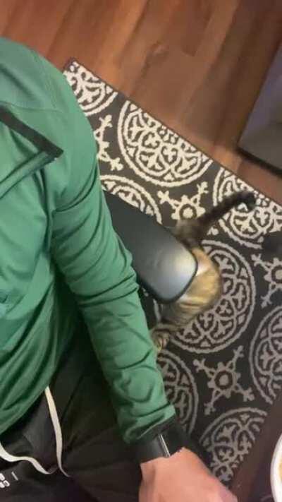 Just give her some pats, damn it!