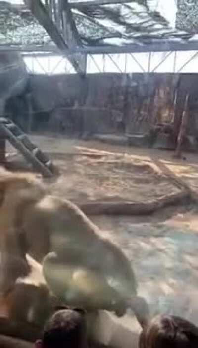 WCGW at a zoo?