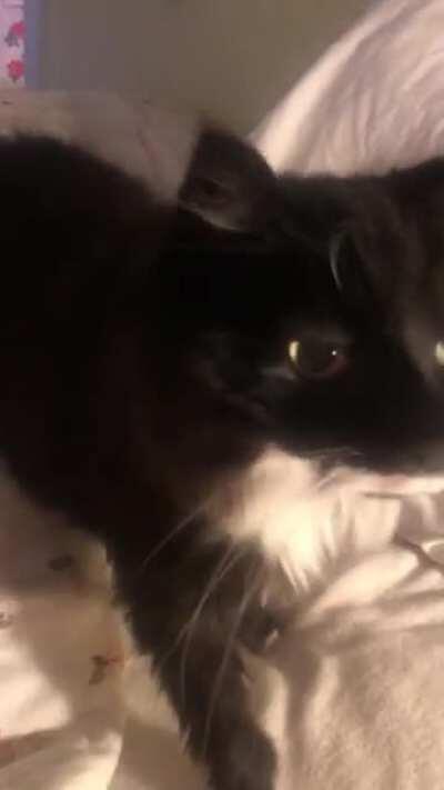 I love her “woofs!”