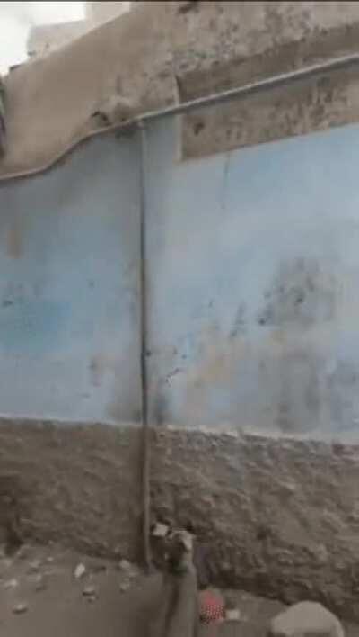 Mother Meow Climbing