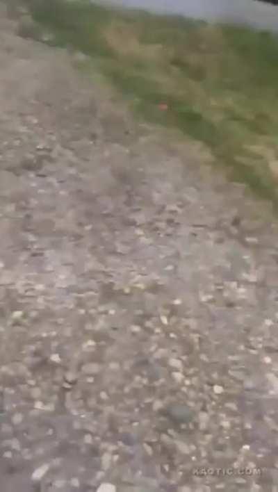 WCGW setting up firecracker into microwave