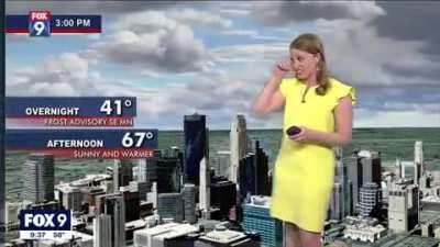 Meteorologist multiplies on screen during graphics glitch