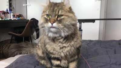 He squeaks with his mouth closed