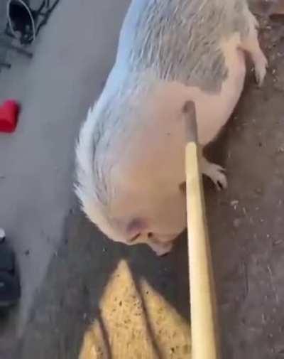 sIcK fUcK kIlLs PiGgY aNd PlAyS wItH hIs DeAd BoDy