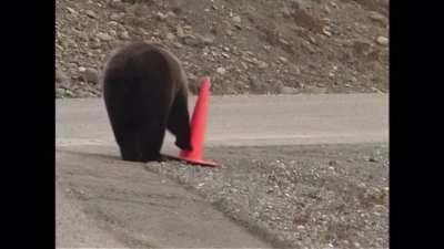 Helping keep you safe in our National Parks.