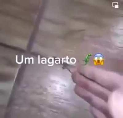 meu deus🤯
