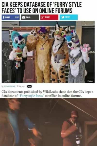 the furries have already breached our defenses