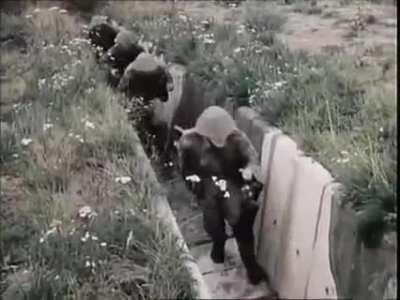 No meme, just the glorious nation of east germany.