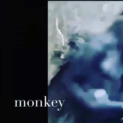 Was that the bite of banana?!?!