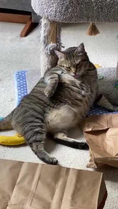 Porkchop says big is beautiful