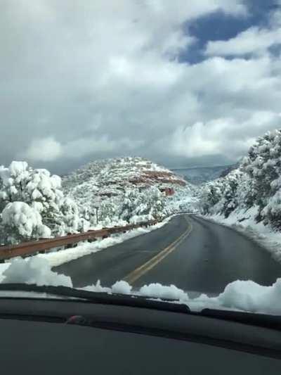 Lets just stop on this slippery road and take pictures, genius!