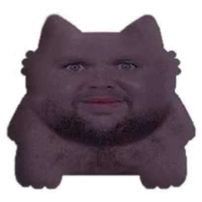 I’ve been replying to all my spam text messages with this