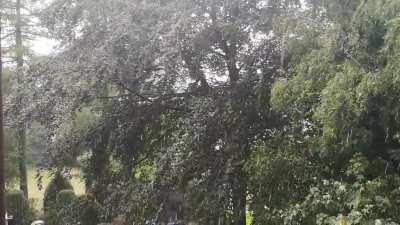 Last Sunday's sunny summer rain that later ended in a huge storm - from our balcony in Germany