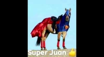 juan
