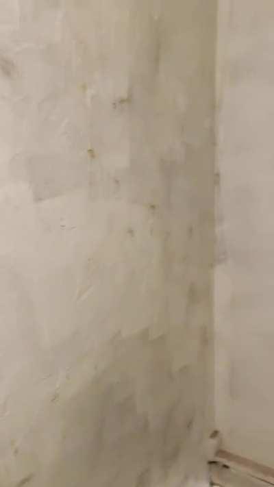 fire alarm is broken in my apartment building