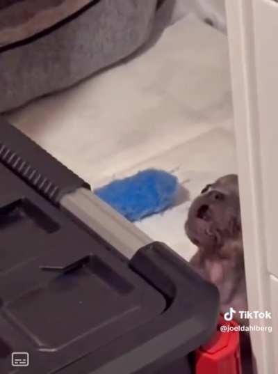 How dare you order me around!