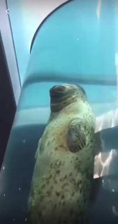 Ascending into heaven be like…