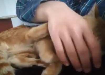 No No, Your Hand Goes Here