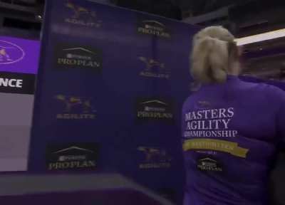 The amazing agility of a Border Collie