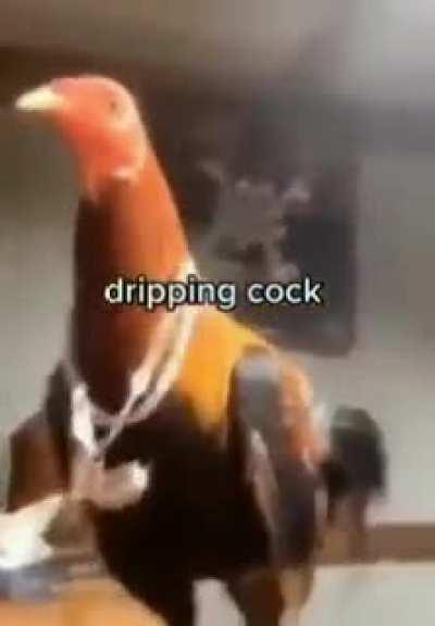 Can anyone help me find the song in this? 