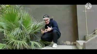 Faraón love shady 😎👊