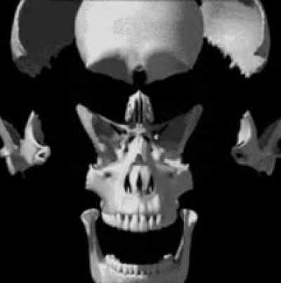 Type HUMAN HEAD BONES emoji with your eye s closed