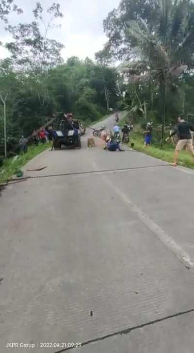 WCGW not paying attention to the road