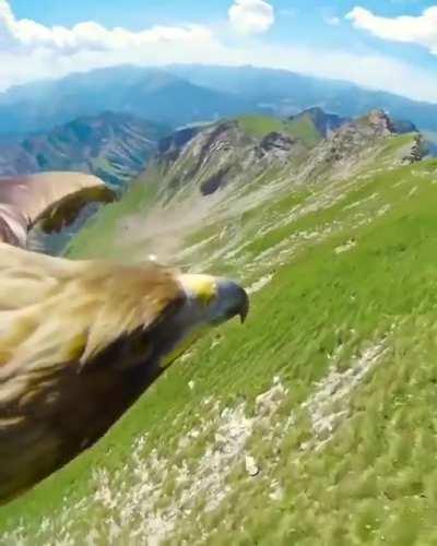 🔥 Bird's-Eye View of the Alps