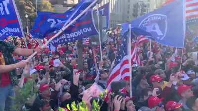 MAGA Million March STOP THE STEAL!