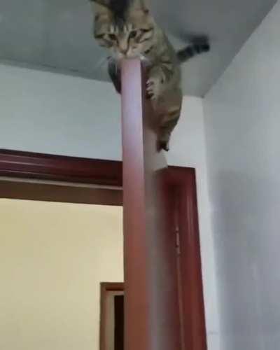 Perfect place for a quick nap