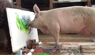 Pigcasso was rescued from a factory farm in South Africa as a piglet in 2016. She now lives at Farm Sanctuary SA where she’s become famous as the greatest pig artist of all time