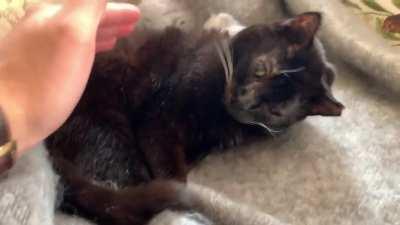 Wakey wakey it’s time for school!