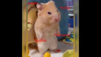 Chandighar University leak video Mil gaya 🤩