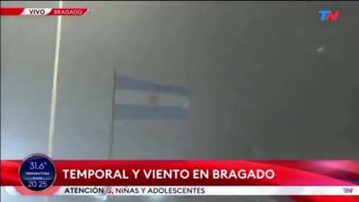 Sopla más fuerte hijo de puta