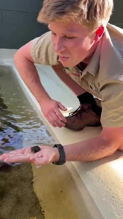 Steve Irwin’s son, Robert Irwin, becomes the first person to breed and hatch a turtle species his Dad discovered. Takes it out for its first swim.