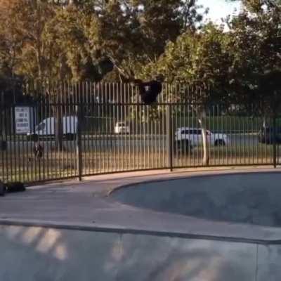 Do you feel lucky, punk?