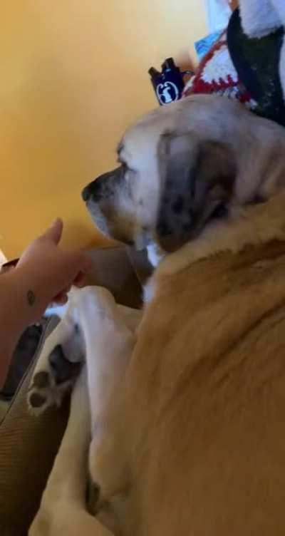 NO 🚫 BOOP 🚫 ZONE 🚫