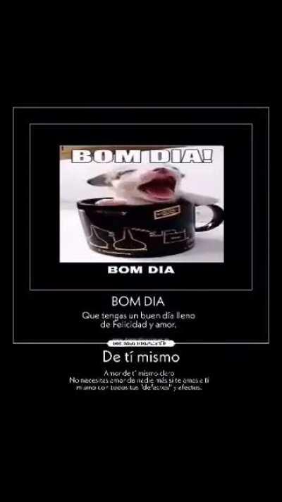 Bom dia