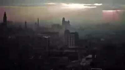 STOP BEING GILDED DOMESTICATED GARBAGE