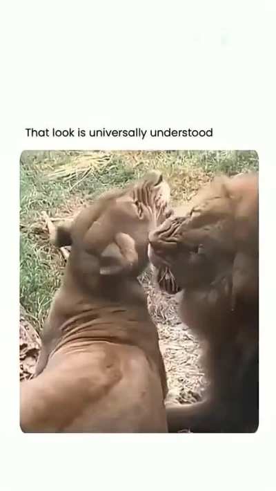 Ok she's still angry. 😂😂