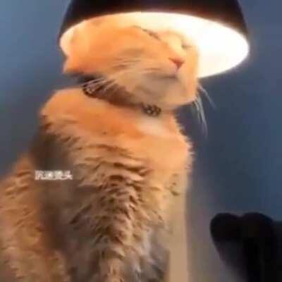 You wouldn’t understand a higher being like me