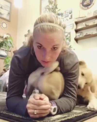 Ruff ~arrrrrrr Rufffff....cute....