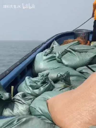 Hong Kong bootleggers use 2500 hp yachts to smuggle frozen pig's trotters