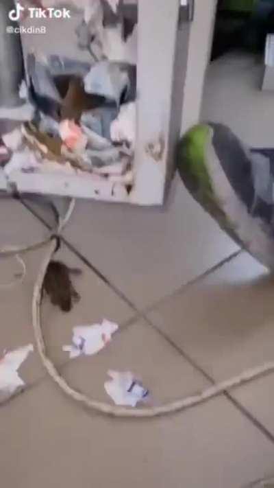 LRT systems malfunction identified