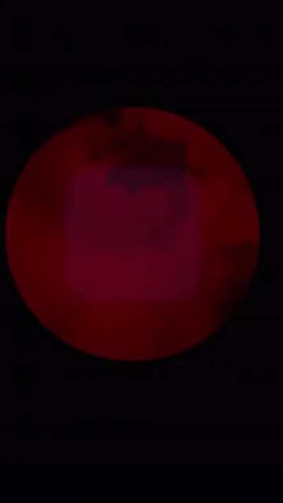 Cousin finally sent (13)