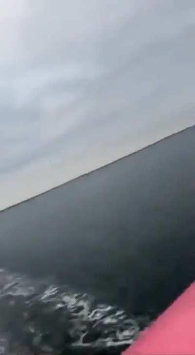 Average Finns enjoying their trip to eesti