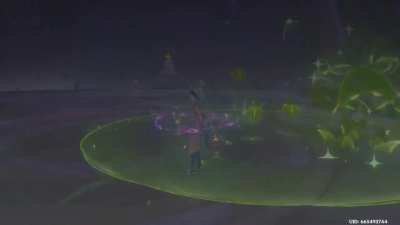 Did you Mualani’s burst doubles as a SAM for airborne enemies