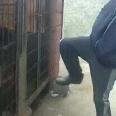 Got what he deserved.