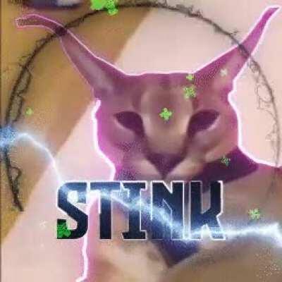 floppa animated logo i made